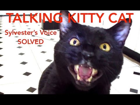 Talking Kitty Cat - Sylvester's Voice SOLVED - stevecash83