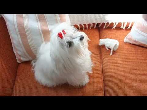 ¡Felicidades, Anissa!