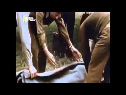 El Bombardeo De Alemania, Documentales Completos en Español