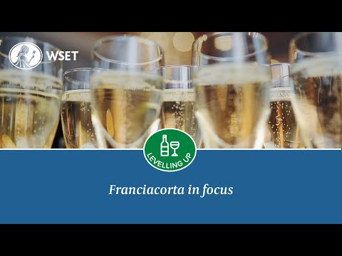 Franciacorta in focus