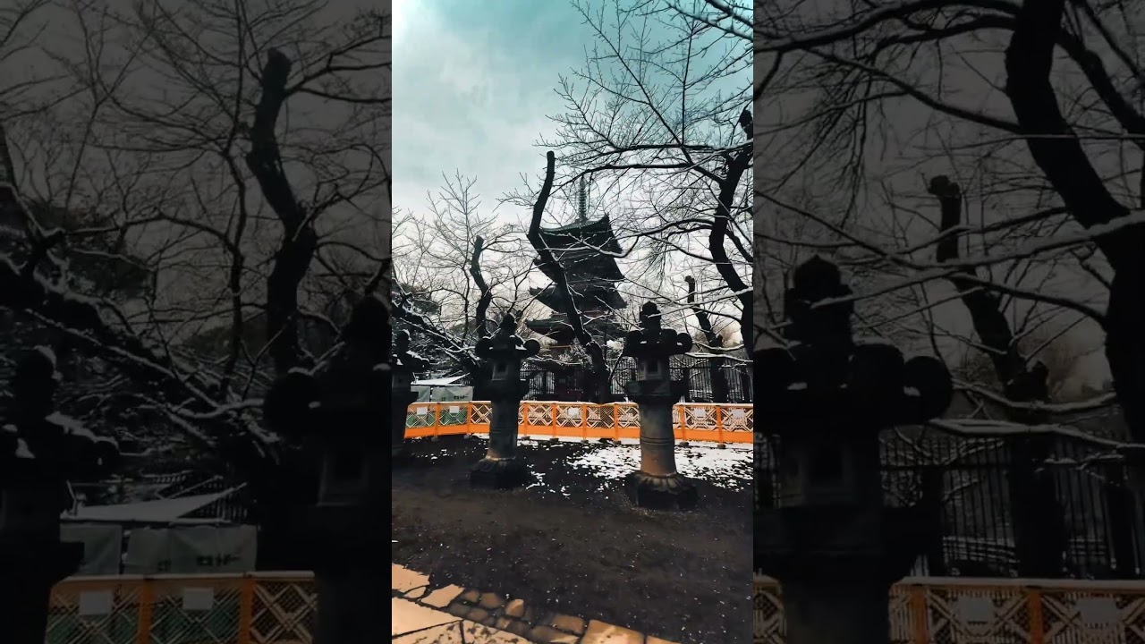 【上野東照宮】雪と金色の対比が美しい