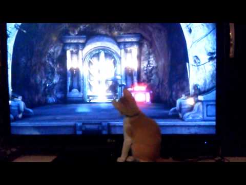 Kratos vs. Cat