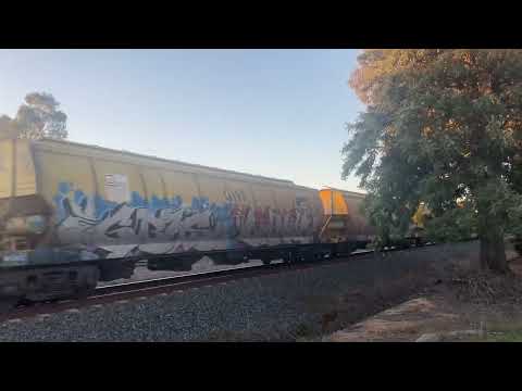 SSR102 and SSR101  Leading 1MG1 SSR Grain trains.