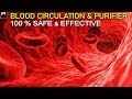 90 Mins Blood Circulation, Purification & Cleansing Subliminal Frequency | Pure Binaural Beats #SG12