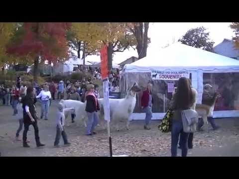 Sunday at Rhinebeck - EP77B - Knitting Blooms