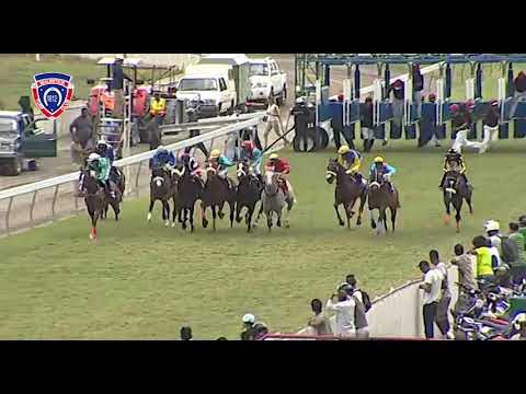 RM36 R4 - Harlan County