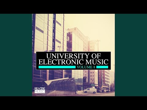 Decisions (Scheinizzl Remix)