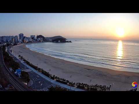 Live webcam view of Songjeong Beach Surf & Skyline