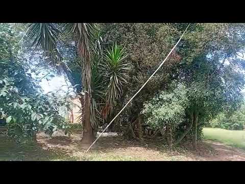 Casa do meu primo Pedrinho  Antônio  Olinto  Pr 