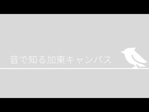 学校教育教員養成課程 音で知る加東キャンパス