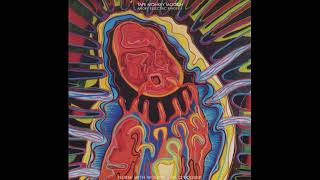 Nurse with Wound & Jim O'Rourke — Tape Monkey Mooch (Angry Eelectric Finger 1) (2004)