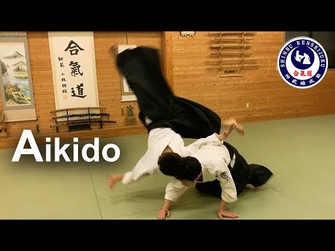 High Level and Beautiful Aikido ‐ Shirakawa Ryuji shihan