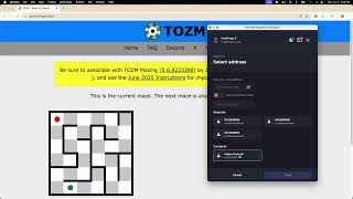 TOZM Mazing Gameplay