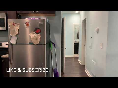 1537-41 Seybert - Video 2 of 2