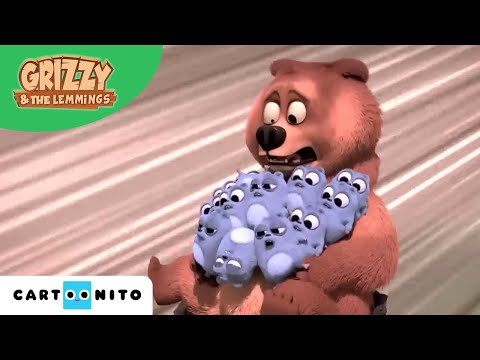 GRIZZY VE LEMMINGLER | Her şey nasıl başladı? | @CartoonitoTurkiye