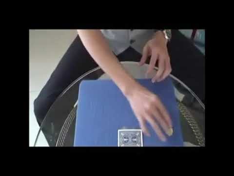 Saturn Magic - Johnny Wong's Deluxe Edition Super Chameleon Power (Eisenhower)(color may vary)