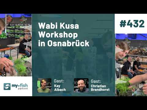 my-fish.org - Wabi Kusa Workshop in Osnabrück – (Kay Albach & Christian Brandhorst)