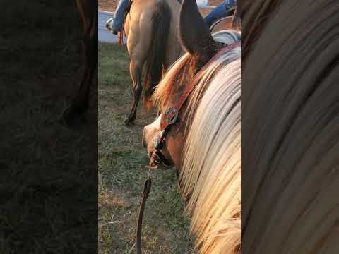 Trigger, emotionally compromised