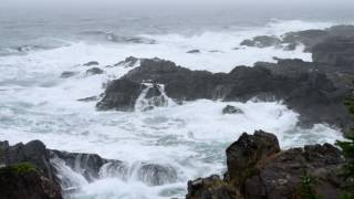 Ocean VU (Velvet Underground) - BFritz