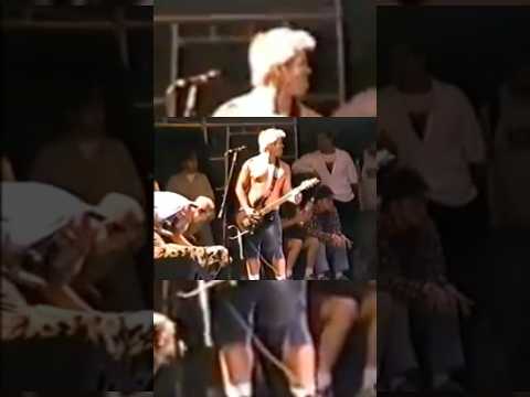 Brad & Lou Forever 🤙 #sublime #dogshorts #90s #reggae