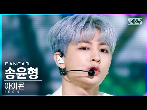 송윤형