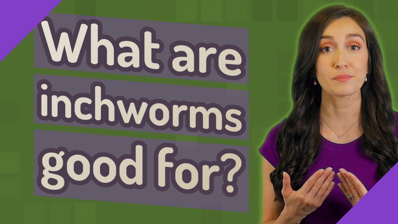 What are inchworms good for?