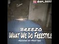 Breezo What We Do Freestyle State Property Mix