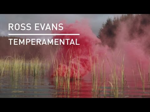 Ross Evans - Temperamental