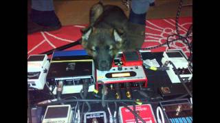 Carlo Zannetti plays and sings &quot; You&#39;ve got a friend&quot; di Carol King