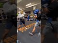 What Happend When You Call Out The Best Fighter Of The Gym