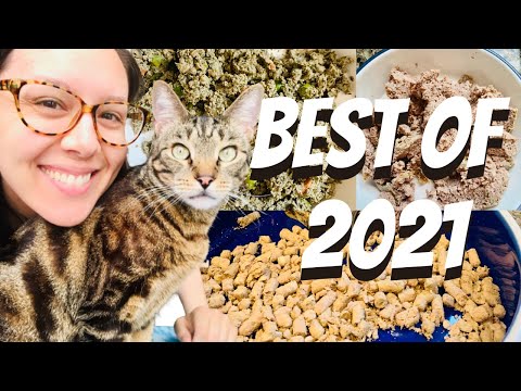 Best cat food brands (2021) - Jess Caticles