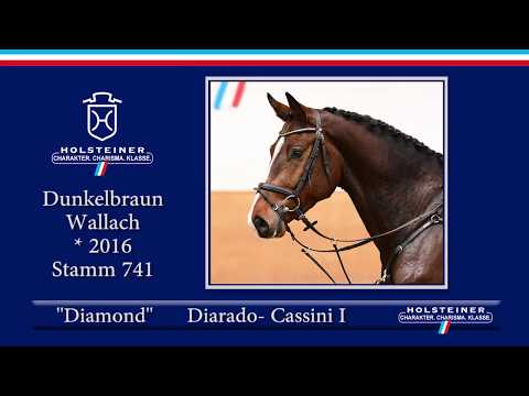 Holsteiner Frühjahrsauktion 2020 - Nr. 114 Diamond v. Diarado - Cassini I