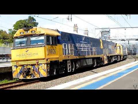 Australia:Trains @ North Strathfield - Diesel Locomotives in Action, 2020