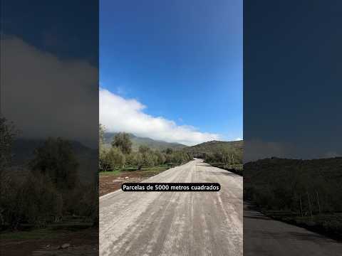 Vive Tiltil, hermosas parcelas a minutos de la cuidad 🌳🚗
