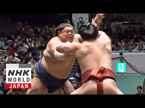 GRAND SUMO: Day 6 of the January 2026 Tournament - GRAND SUMO Highlights