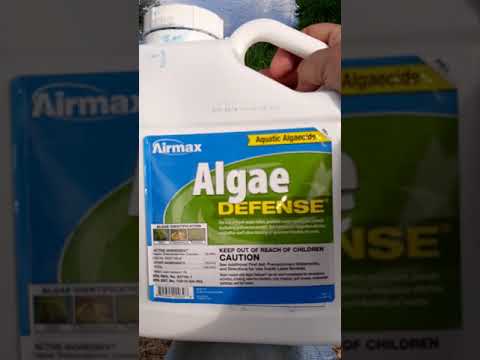 #1 Kill the Pond Algae Project