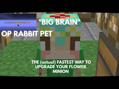 THE FASTEST WAY TO UPGRADE THE FLOWER MINION (Hypixel Skyblock)