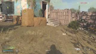 CoDのバトロワやる