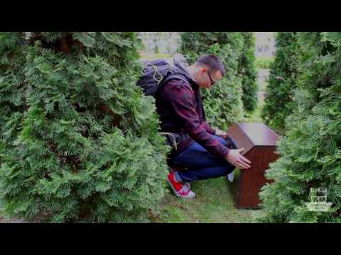 Comoara Ligii AC 2017