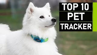 Top 10 Pet Trackers to Monitor Your Pet Health & Location