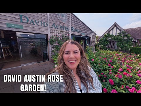I Finally Made It To The David Austin Rose Garden -- And It Was Pure Magic! 🤩🌿🌹