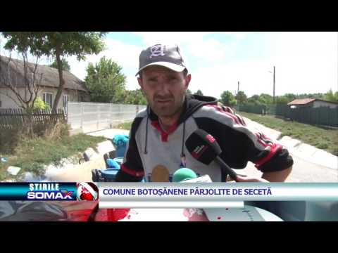 COMUNE BOTOSANENE PARJOLITE DE SECETA