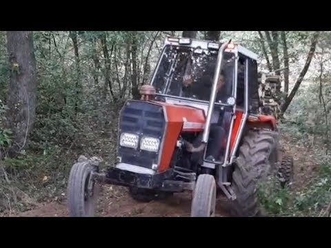 MASSEY FERGUSON UZ VELIKO BRDO VOZI 6 METARA DRVA NA PRIKOLICI