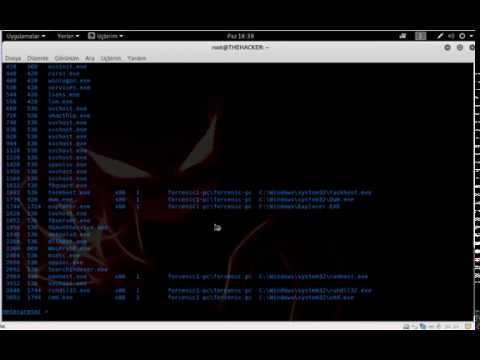 EternalBlue DoublePulsar Kurulum/Kullanım