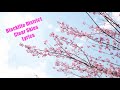 Blacklite District Clear Skies Lyric Video