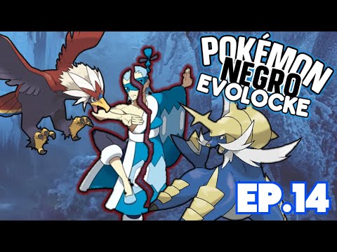 DIOSES Pokémon en Acción! | Pokémon Negro Evolocke #14