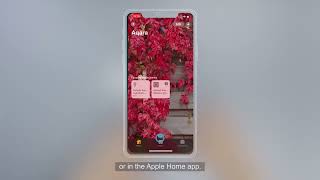 Aqara Wireless Mini Switch Installation Video