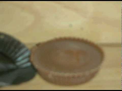 Don't Play With Your Food