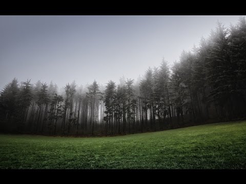 Freshly Baked 016 - Future Beats / Chill - Mix