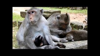 Bad Moms Soundtrack | Sweet Jane - Garrett Kato